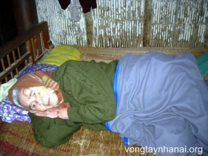 HTV Pham T Luyen QD  (Copy)